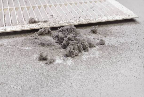 Best Professional Duct Cleaning Services  in Plumas Lake, CA