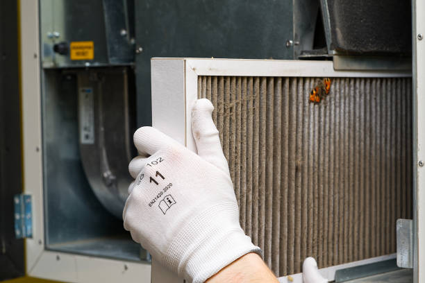 Air Duct Mold Removal in Plumas Lake, CA