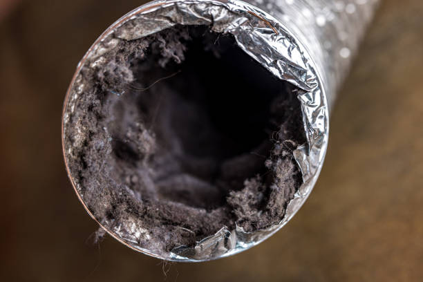 Best Air Duct Cleaning Near Me  in Plumas Lake, CA