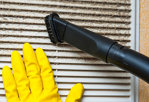 Best Professional Duct Cleaning Services  in Plumas Lake, CA